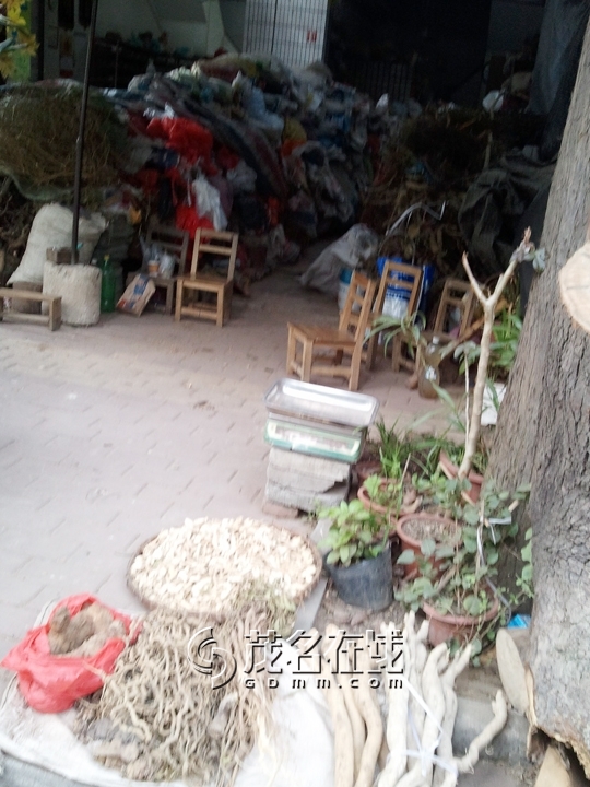 WP_005915.jpg
