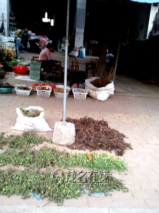 WP_005918.jpg