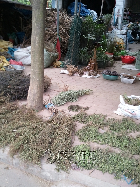 WP_005919.jpg