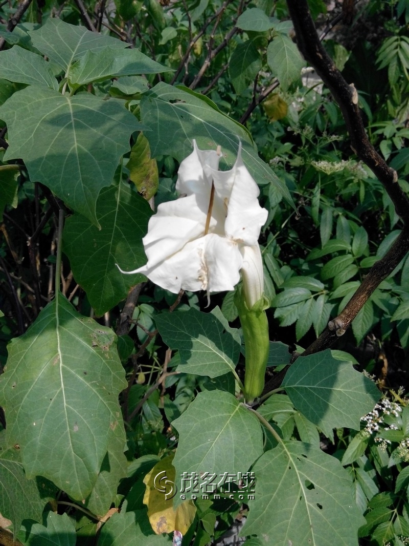 20141101113741.jpg