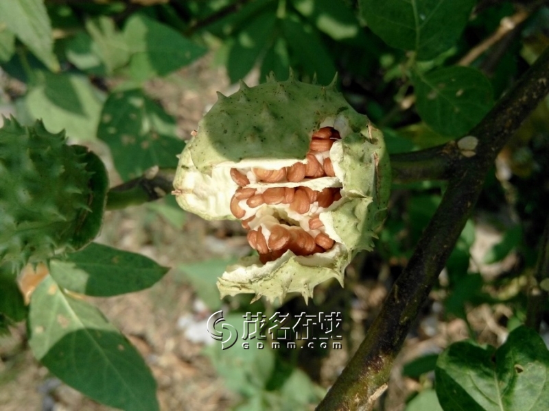 20141101113732.jpg