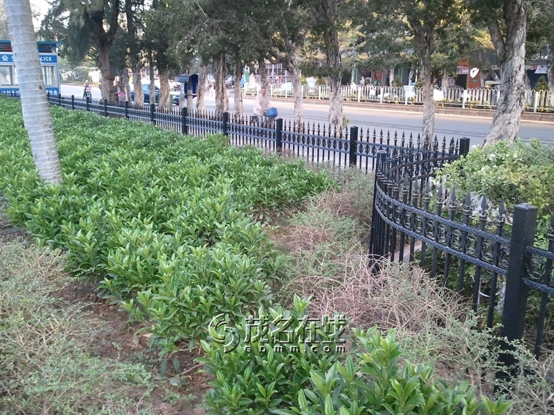WP_006130.jpg