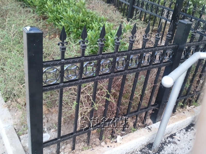 WP_006131.jpg