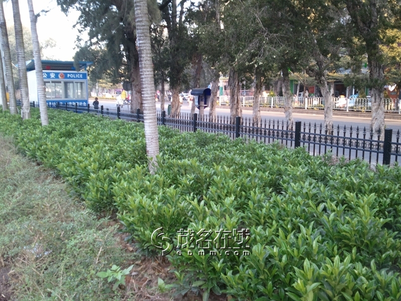 WP_006132.jpg