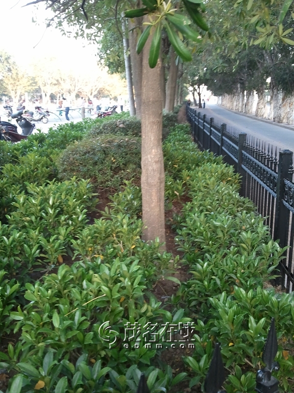 WP_006143.jpg
