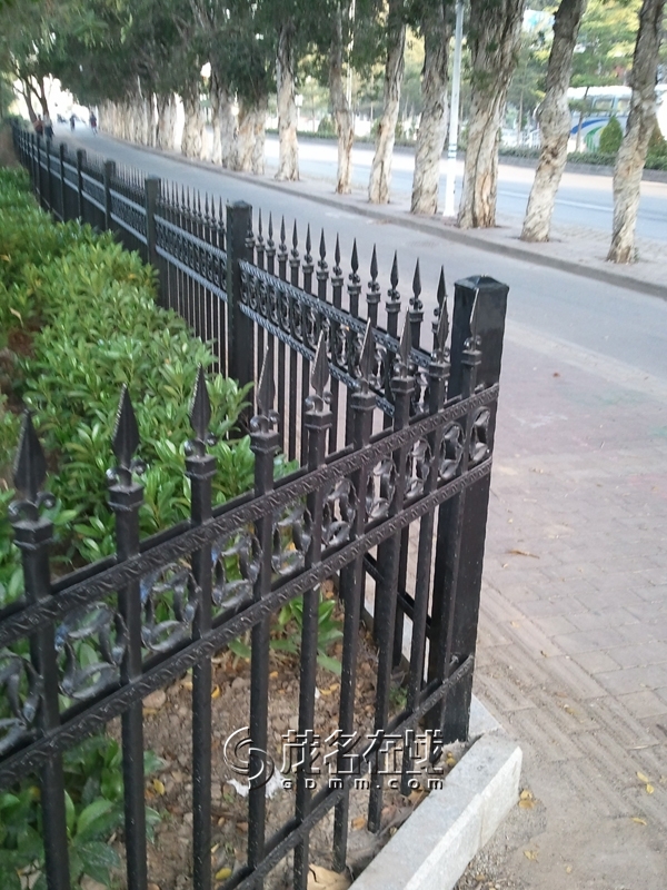 WP_006144.jpg