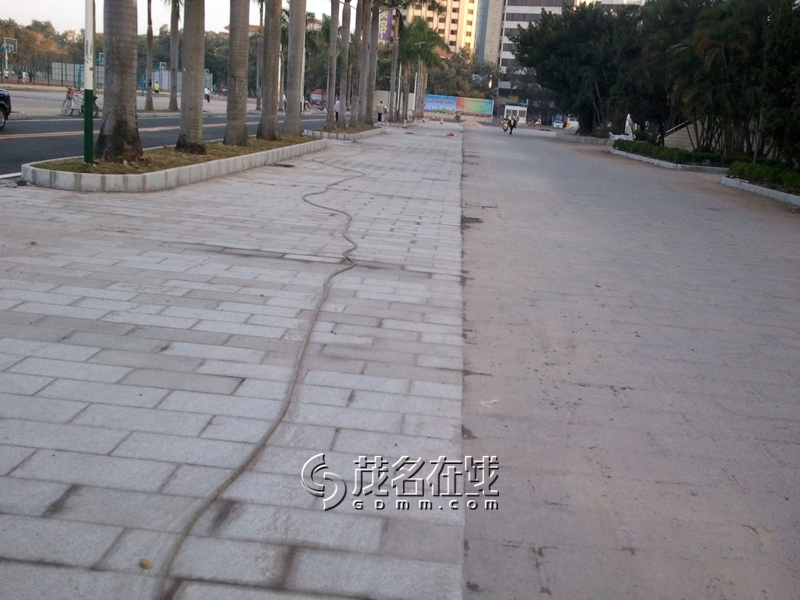 WP_006120.jpg