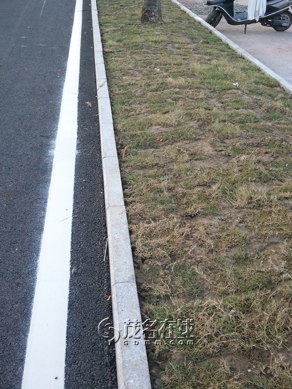 WP_006156.jpg