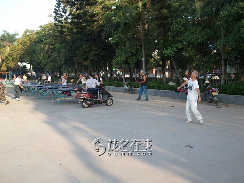 WP_006172.jpg