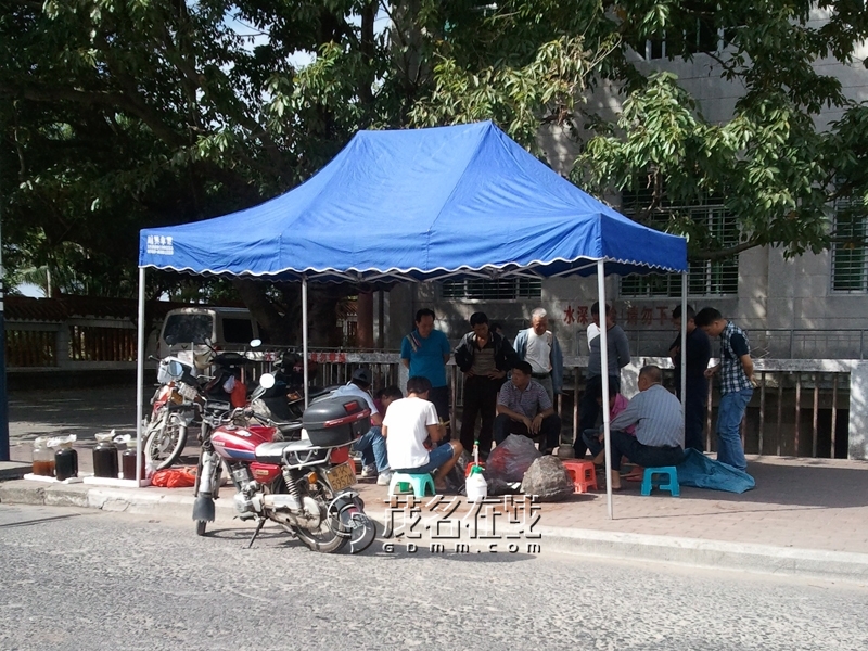 WP_006180.jpg