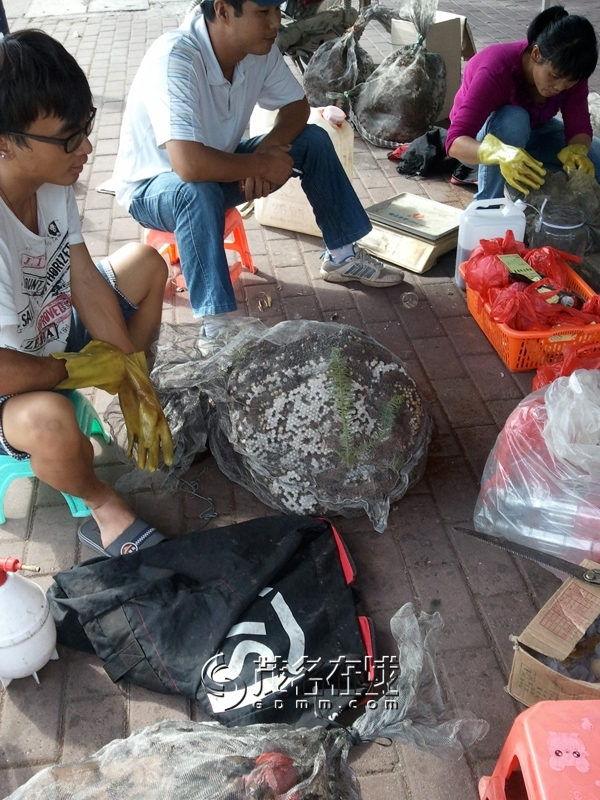 WP_006182.jpg