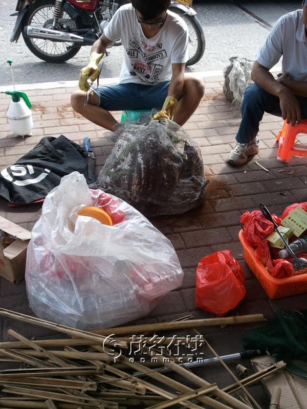 WP_006186.jpg