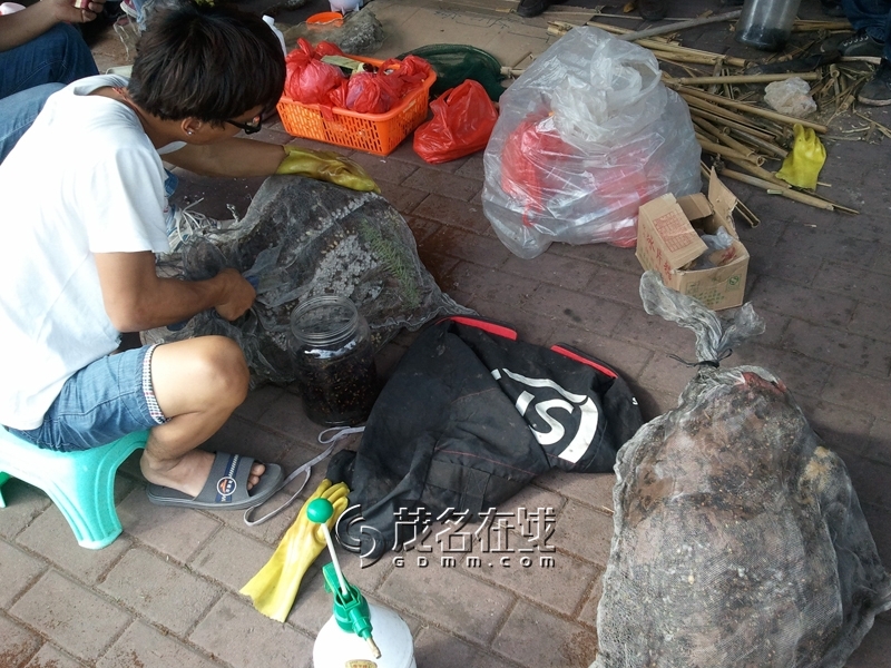 WP_006198.jpg