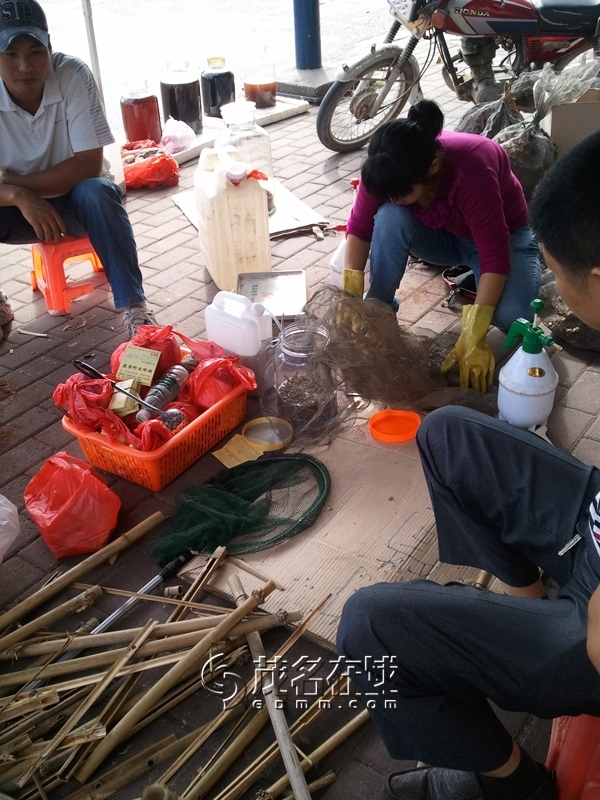 WP_006188.jpg