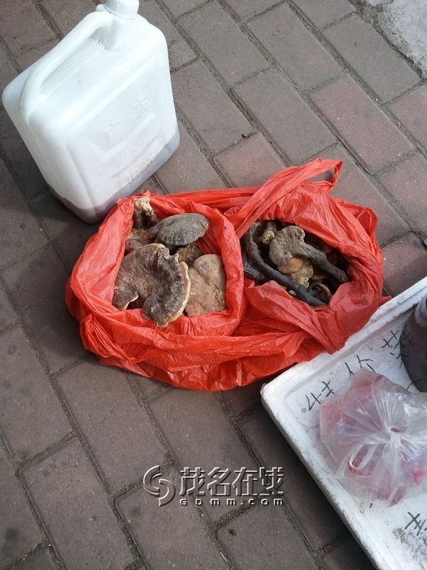 WP_006192.jpg