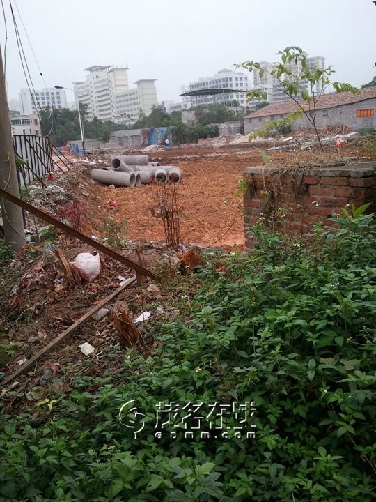 WP_005798.jpg