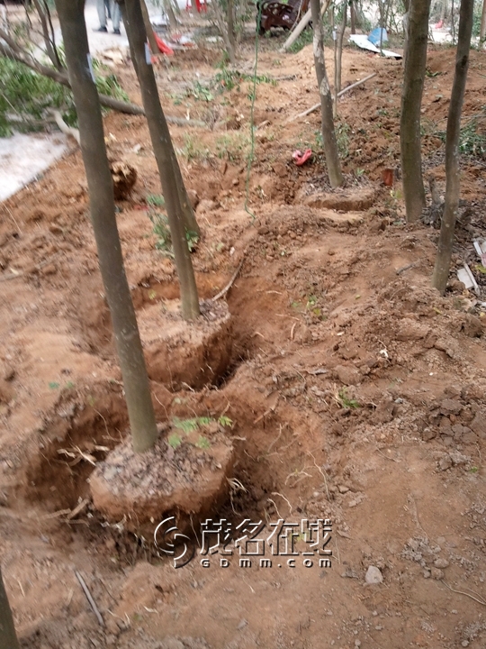 WP_006860.jpg