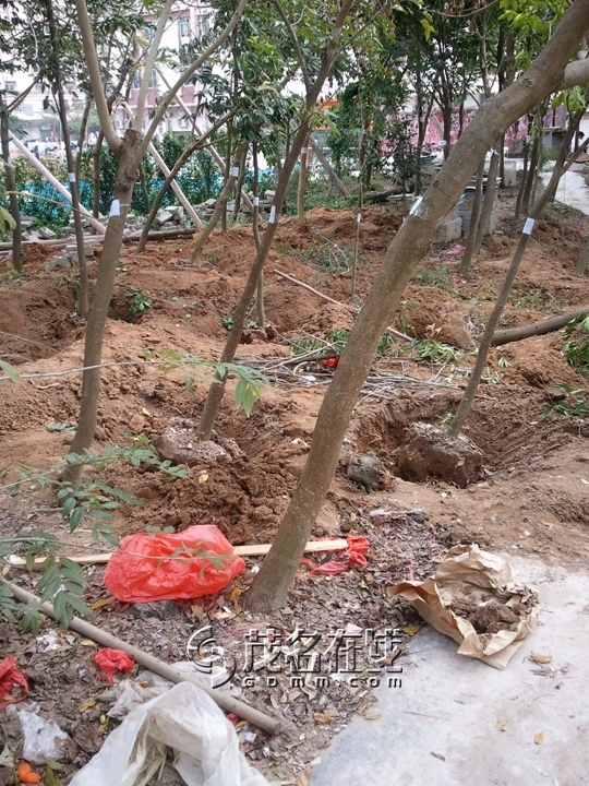 WP_006848.jpg