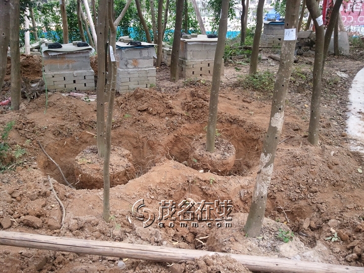 WP_006856.jpg