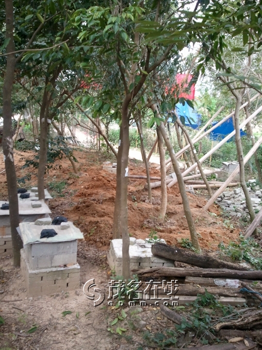WP_006859.jpg