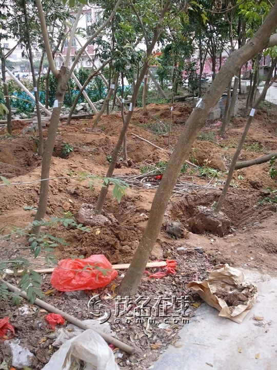 WP_006848.jpg