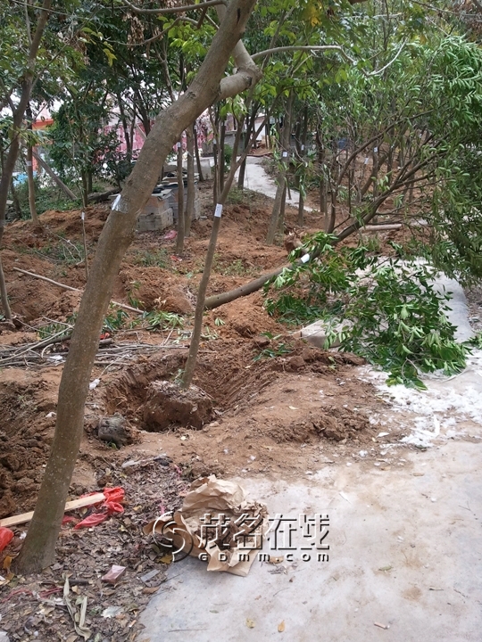 WP_006849.jpg