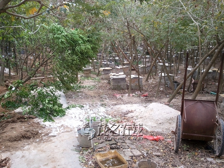 WP_006852.jpg