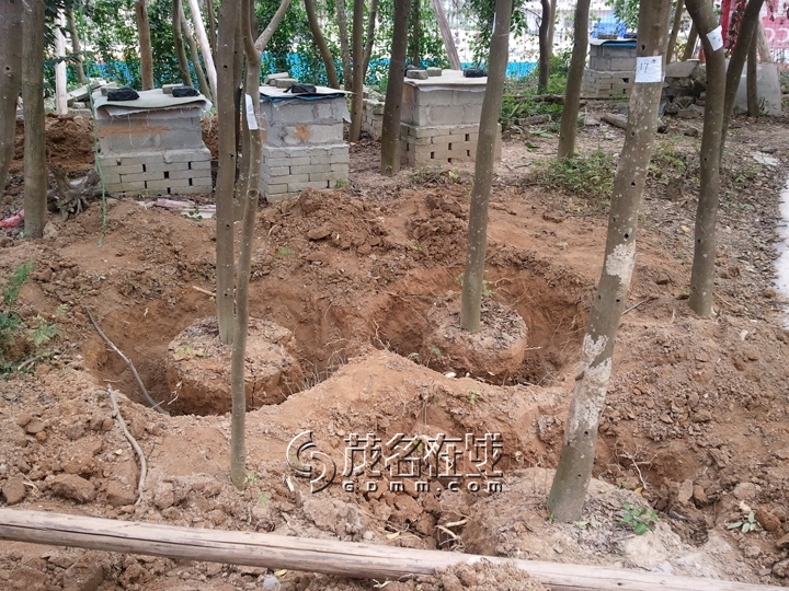 WP_006856.jpg
