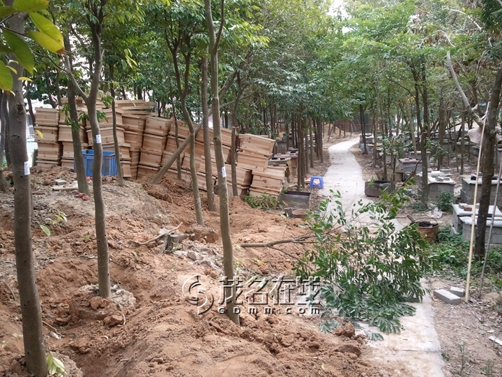 WP_006857.jpg