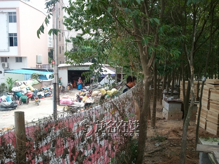 WP_006858.jpg