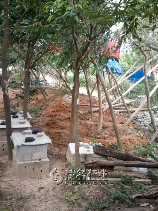 WP_006859.jpg