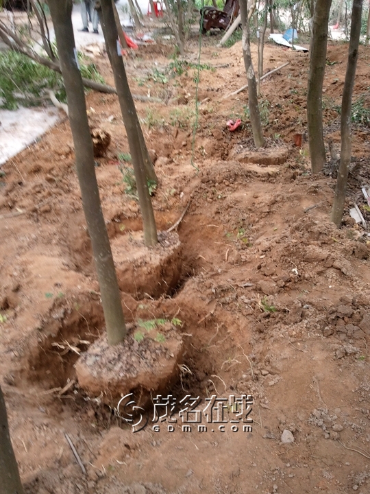 WP_006860.jpg