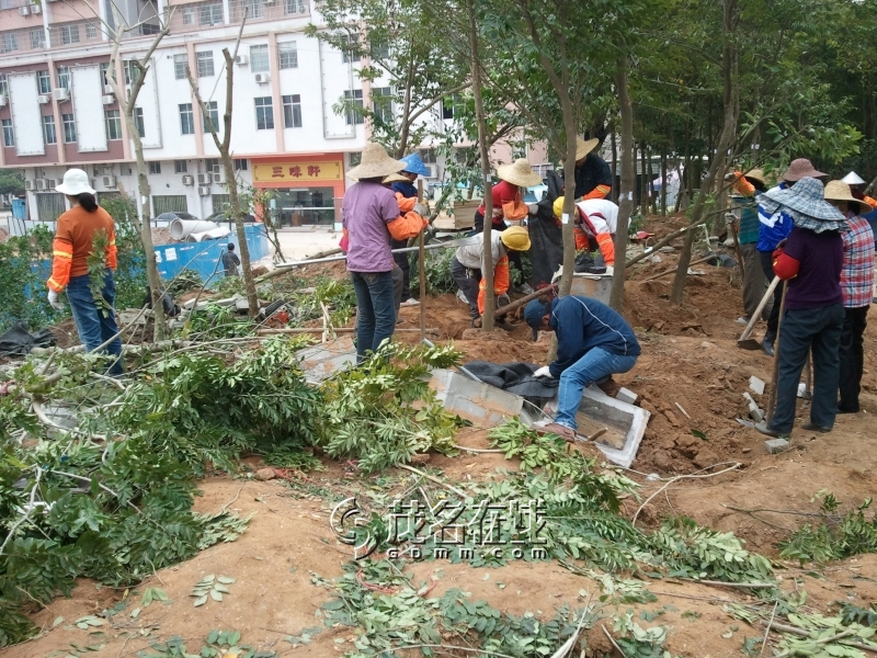 WP_006885.jpg