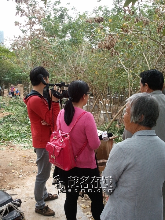 WP_006898.jpg