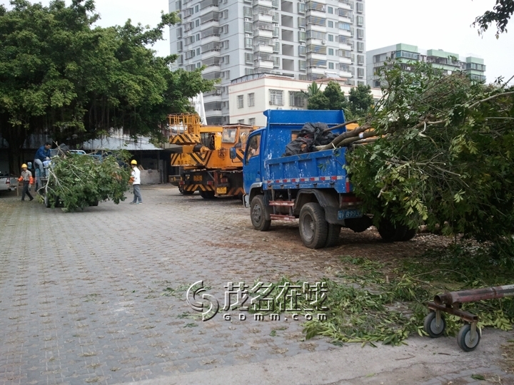 WP_006903.jpg