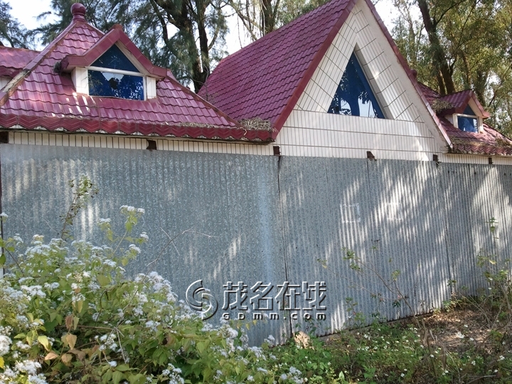WP_006805.jpg