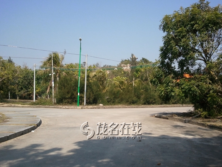 WP_006802.jpg