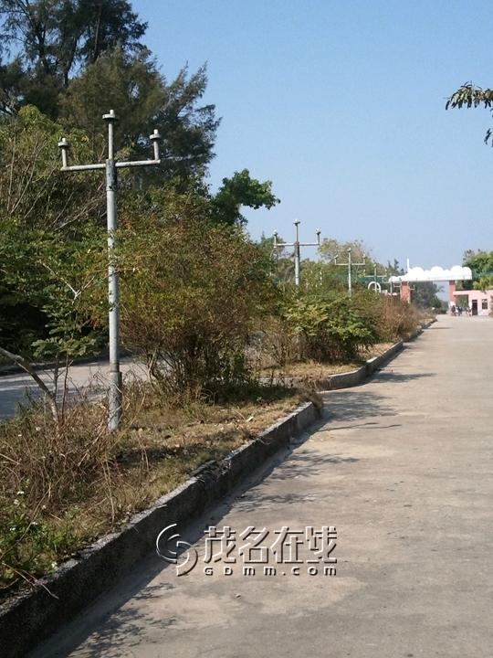 WP_006809.jpg