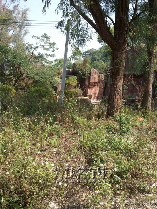 WP_006813.jpg