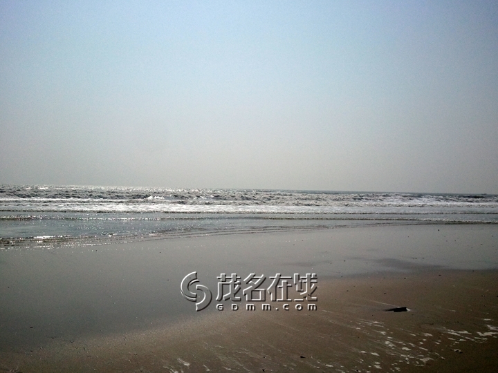 WP_006715.jpg