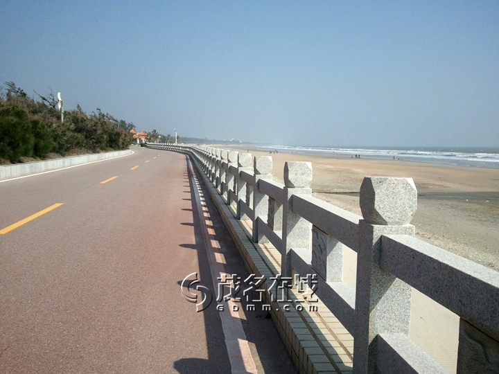 WP_006798.jpg
