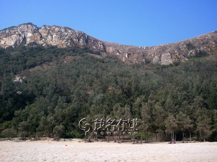WP_006738.jpg