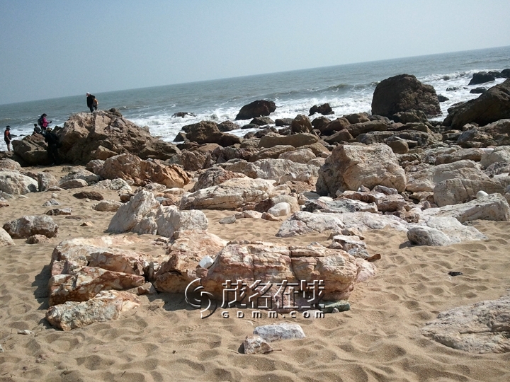 WP_006779.jpg