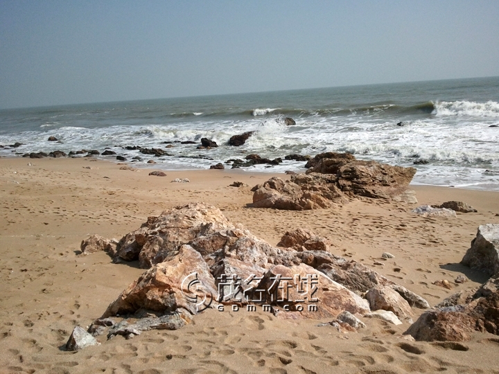WP_006790.jpg