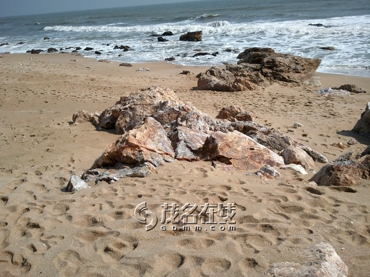 WP_006791.jpg
