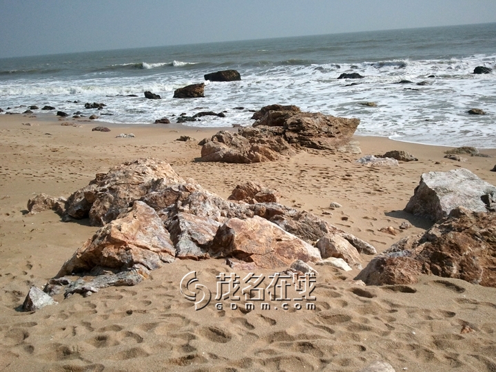 WP_006793.jpg