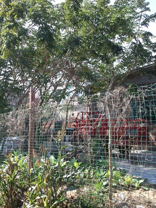 WP_006993.jpg