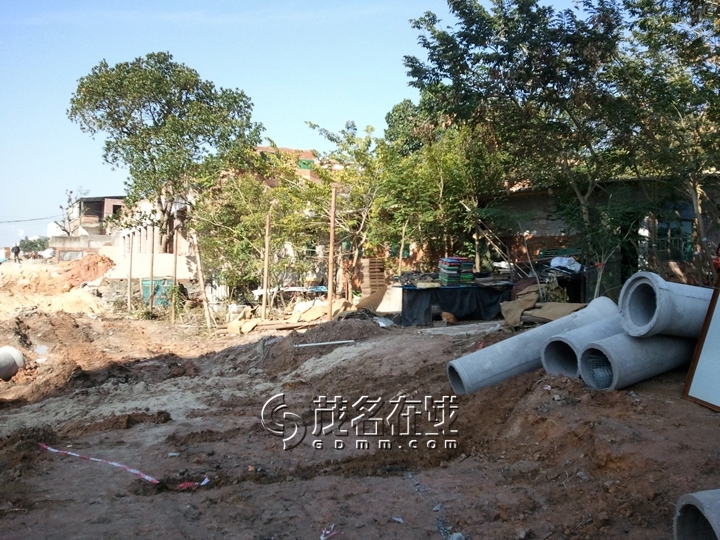 WP_006987.jpg