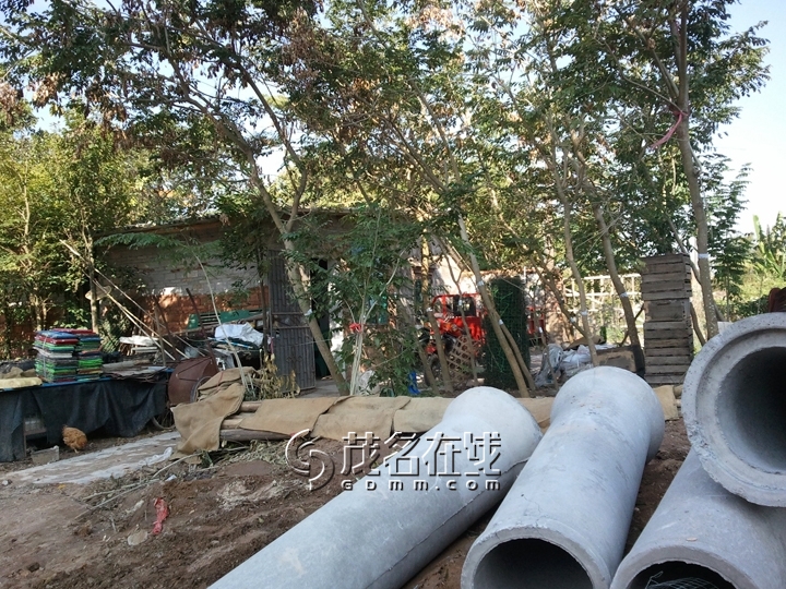 WP_006989.jpg