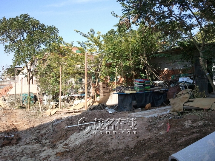 WP_006990.jpg